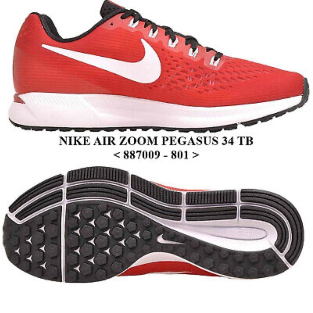 Nike Zoom Pegasus 34 Team
